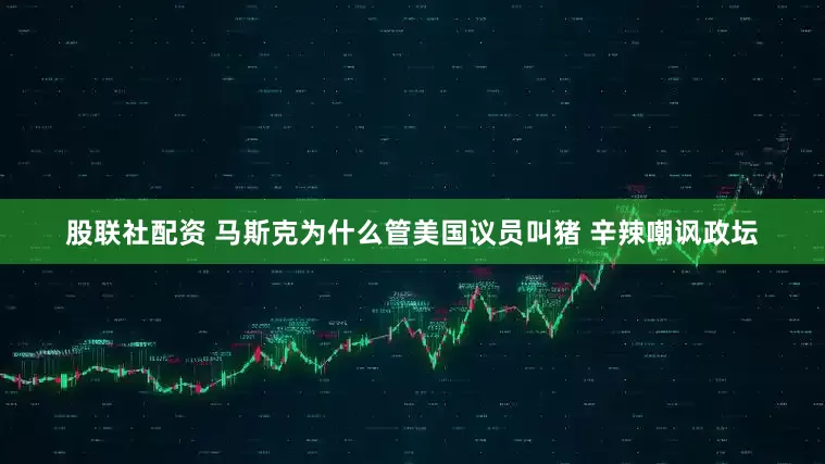 股联社配资 马斯克为什么管美国议员叫猪 辛辣嘲讽政坛