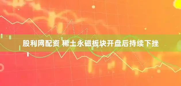 股利网配资 稀土永磁板块开盘后持续下挫
