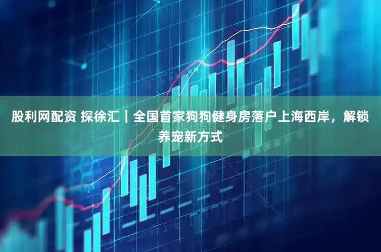 股利网配资 探徐汇｜全国首家狗狗健身房落户上海西岸，解锁养宠新方式