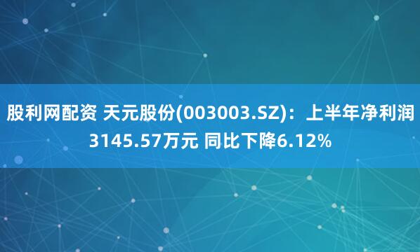 股利网配资 天元股份(003003.SZ):上半年净利润3145.57万元 同比下降6.12%