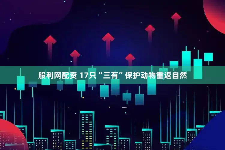 股利网配资 17只“三有”保护动物重返自然