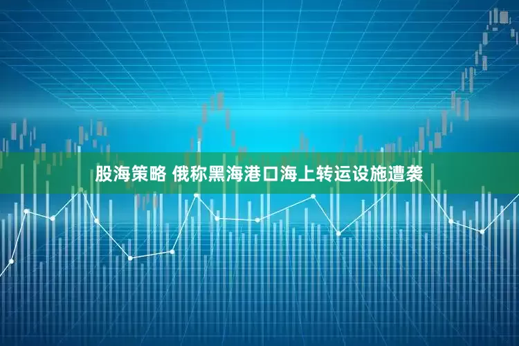 股海策略 俄称黑海港口海上转运设施遭袭